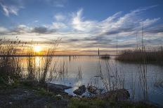 Sunrise at the Lake Neusiedl at Purbach, Burgenland, Austria, Europe-Gerhard Wild-Photographic Print