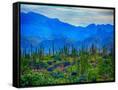 Canvas Black