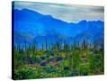 Stretched Canvas