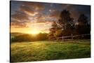Stretched Canvas