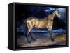 Gericault: Horse-Théodore Géricault-Framed Stretched Canvas