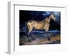 Gericault: Horse-Théodore Géricault-Framed Giclee Print