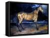 Gericault: Horse-Théodore Géricault-Framed Stretched Canvas