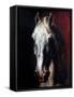 Gericault: White Horse-Théodore Géricault-Framed Stretched Canvas