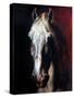 Gericault: White Horse-Théodore Géricault-Stretched Canvas