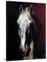 Gericault: White Horse-Théodore Géricault-Stretched Canvas