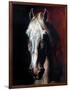 Gericault: White Horse-Théodore Géricault-Framed Giclee Print