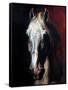 Gericault: White Horse-Théodore Géricault-Framed Stretched Canvas