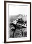 German Aeroplane Squadron-null-Framed Photo