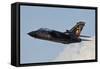 German Air Force Tornado Aircraft-null-Framed Stretched Canvas