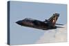 German Air Force Tornado Aircraft-null-Stretched Canvas