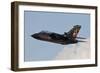 German Air Force Tornado Aircraft-null-Framed Photographic Print