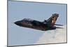 German Air Force Tornado Aircraft-null-Mounted Photographic Print