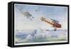 German "Albatros" is Pursued by Two British Aircraft-Roderic Hill-Framed Stretched Canvas