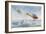 German "Albatros" is Pursued by Two British Aircraft-Roderic Hill-Framed Art Print