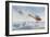 German "Albatros" is Pursued by Two British Aircraft-Roderic Hill-Framed Art Print