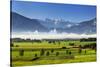 German Alpine Foothills with Karwendel Mountains Near Penzberg-Ralf Gerard-Stretched Canvas