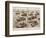 German Armoured Vehicles; Second World War, 1944-null-Framed Photographic Print