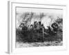 German Artillery Firing in Champagne, France During World War I-Robert Hunt-Framed Photographic Print