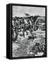 German Artillery in Action on the Eastern Front, 1941-null-Framed Stretched Canvas