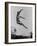 German Athlete-null-Framed Photographic Print