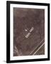 German Aviatik Plane Photographed in Mid-Air by a Belgian Reconnaisance Aircraft Over Holland-null-Framed Photographic Print