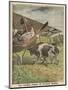 German Biplane Forced to Land in Russian Territory is Confronted by a Hostile Cow-null-Mounted Art Print
