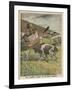 German Biplane Forced to Land in Russian Territory is Confronted by a Hostile Cow-null-Framed Art Print