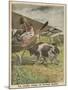 German Biplane Forced to Land in Russian Territory is Confronted by a Hostile Cow-null-Mounted Art Print
