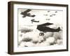 German Biplanes Flying Above the Clouds-null-Framed Photo