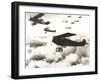 German Biplanes Flying Above the Clouds-null-Framed Photo