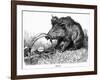 German Boar Held at Verdun - Cartoon-L. Raven Hill-Framed Art Print