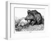 German Boar Held at Verdun - Cartoon-L. Raven Hill-Framed Art Print