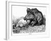 German Boar Held at Verdun - Cartoon-L. Raven Hill-Framed Art Print