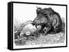 German Boar Held at Verdun - Cartoon-L. Raven Hill-Framed Stretched Canvas