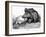 German Boar Held at Verdun - Cartoon-L. Raven Hill-Framed Art Print