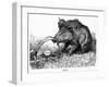 German Boar Held at Verdun - Cartoon-L. Raven Hill-Framed Art Print