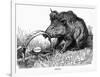 German Boar Held at Verdun - Cartoon-L. Raven Hill-Framed Premium Giclee Print