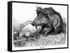 German Boar Held at Verdun - Cartoon-L. Raven Hill-Framed Stretched Canvas