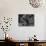 German-Born Us Writer Thomas Mann Sitting at His Desk-Carl Mydans-Mounted Photographic Print displayed on a wall