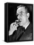 German-Born Us Writer Thomas Mann-Carl Mydans-Framed Stretched Canvas