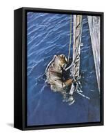 German Diver Goes Down-null-Framed Stretched Canvas