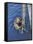 German Diver Goes Down-null-Framed Stretched Canvas