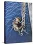 German Diver Goes Down-null-Stretched Canvas