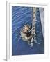 German Diver Goes Down-null-Framed Photographic Print