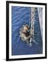 German Diver Goes Down-null-Framed Photographic Print