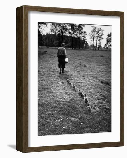 German Ethologist Dr. Konrad Z. Lorenz Studying Habits of Ducks and Geese at Woodland Institute-Thomas D^ Mcavoy-Framed Premium Photographic Print