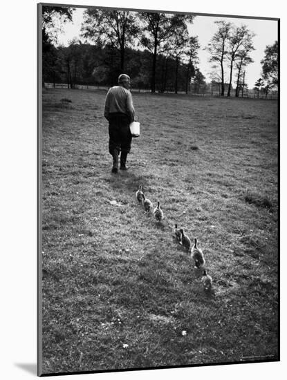 German Ethologist Dr. Konrad Z. Lorenz Studying Habits of Ducks and Geese at Woodland Institute-Thomas D^ Mcavoy-Mounted Premium Photographic Print