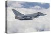 German Eurofighter Typhoon Jet-null-Stretched Canvas