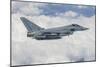 German Eurofighter Typhoon Jet-null-Mounted Photographic Print